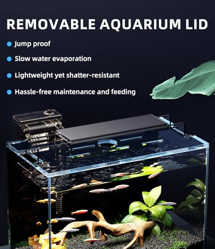 5 Gallon Fish Tank Aquarium Kit with Filter, Heater, LED Light with Timer, Siphon Vacuum Cleaner, Lid, Self-Cleaning Glass Rimless Betta Tank - size: 5 gallon with heater