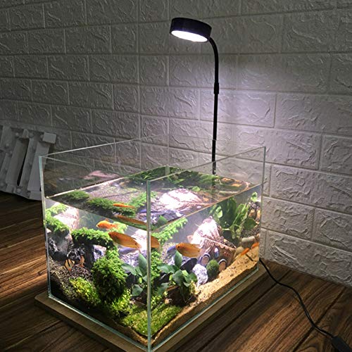 LED Aquarium Light 360 Degree Full Spectrum LED Light with Bamboo Board 10W Nano Fish Tank Light USB Powered Flat Nano Aquarium Light Bett a Fish Tank Light for Plant Growth - size: 10w s / 6.69x7.28inch