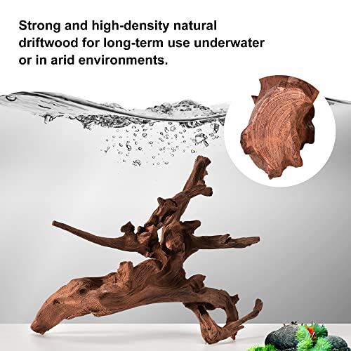 majoywoo Natural Small Driftwood for Aquarium Decor Reptile Decor, Assorted Driftwood Branch 2-4.5" 10 Pcs, Fish Tank Decorations - size: Mopani Driftwood 2 to 4.5 Inch (Pack of 10)