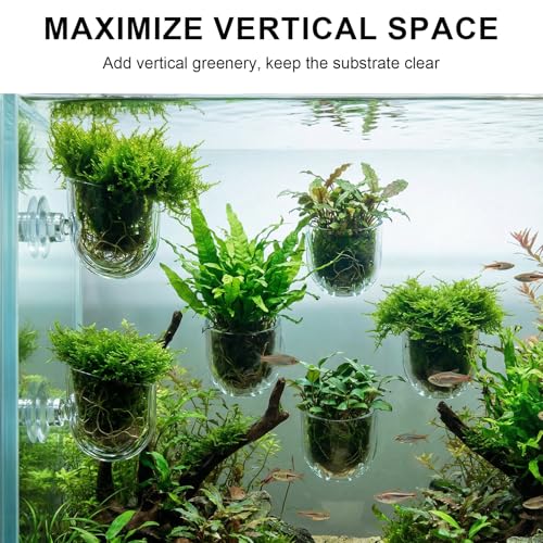 6 Pcs Aquarium Plant Holder, Suction Cup Fish Tank Plant, Clear Shower Aquatic Plant Pots