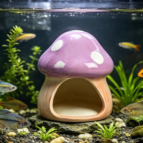 AnRui Ceramic Betta Fish Tank Accessories Decor Cute Mushroom House Aquarium Decoration Hideout Cave Ornament for Small Fish, Shrimp, Goldfish and Reptiles (Purple) - color: Purple