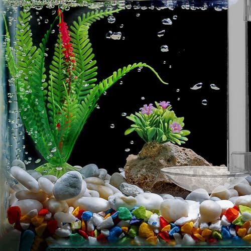Aquarium Fish Feeder Tube with Acrylic Container, 15cm Wall-Mounted Shrimp Feeding Kit with Floating Ring and Cleaning Brush for Tank and Betta Supplies
