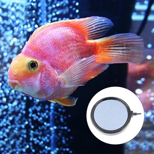 Utoolmart 5 inch Aquarium Air Stones Disc, Fish Tank Airstone Bubble Diffuser for Aquarium Fish Tank Ponds and Hydroponics Air Pump