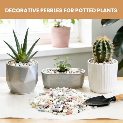 3/8 Inch Decorative Pebbles, River Rocks for Indoor Plants, Succulents, Planters, Vases, Fish Tank, Aquarium Gravel & Landscaping, Mixed Color, 3LB - color: Colorful, size: 3LB