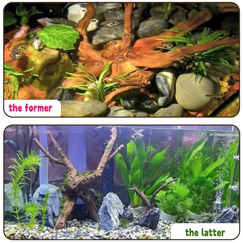 4PCS Driftwood for Aquarium 8-10in Natural Spider Wood Reptile Branches Fish Tank Log Ornament Aquarium Trunk Decoration - size: M:Spiderwood (8-10in 4PCS)
