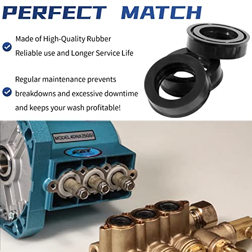 Sunluway 76975 Seal Kit CAT Seal Kit for 4DNX Pumps Fits for Replacement CAT 4DNX25GSI & 4DNX27GSI Pump