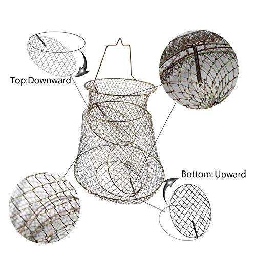 Metal Rustproof Collapsible Fish Basket - Robust and Easy to Use Net Cage for Live Fish