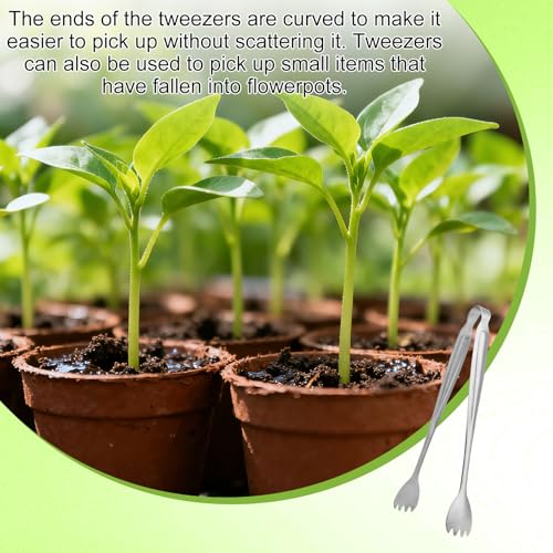 Seedling Transplant Tong & 3pcs Tweezers Set, Stainless Steel Long Thin Seed Starter Seedling Transplanting Pliers Gardening Planting Tool Stuffer Supplies for Plant Lowering Root Damage (Silver)