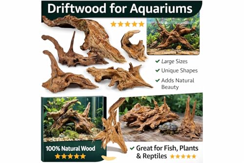 Azil Natural Driftwood 9''-12'' (2 Pieces) – Perfect Aquarium Decoration for Fish Tanks, Freshwater Aquariums, Terrariums, Aquascaping, Hardscaping, Aquatic Plants - size: driftwood 9'' - 12''