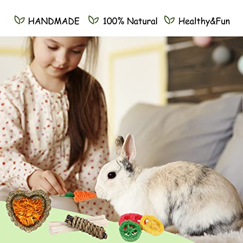 VESPRO Bunny Toys, 21PCS Rabbit Chew Toys for Teeth, Guinea Pig Natural Treats, Timothy Hay Sticks for Chinchillas Hamsters Rats, Small Animals Teeth Grinding - size: 1 Count (Pack of 2)
