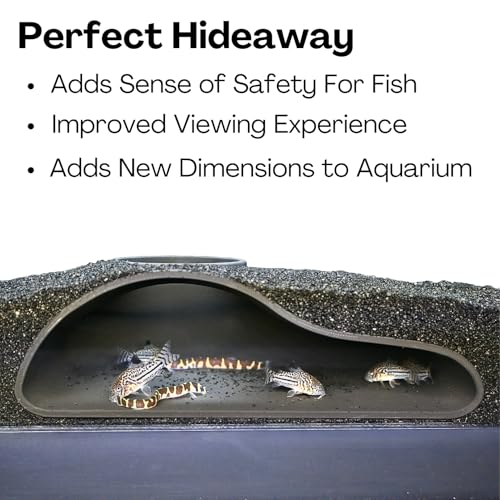 Lucky Critter Aquarium Underground Tunnel Cave Natural Curve | Viewing Fish & Shrimp Under Gravel Tunnel | Fish Tank Decor Decoration Hideout Perfect for Corydora Catfish, Kuhli Loach, Pleco - color: Black