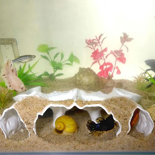 Aquarium Hidden cave，Small Bottom-Dwelling Fish&Shrimp Safe Hiding Hole，Underground Double-Hole Hiding Tunnel，3D Printed， Fish Tank Decoration Accessories (Large Size) (White) - color: White