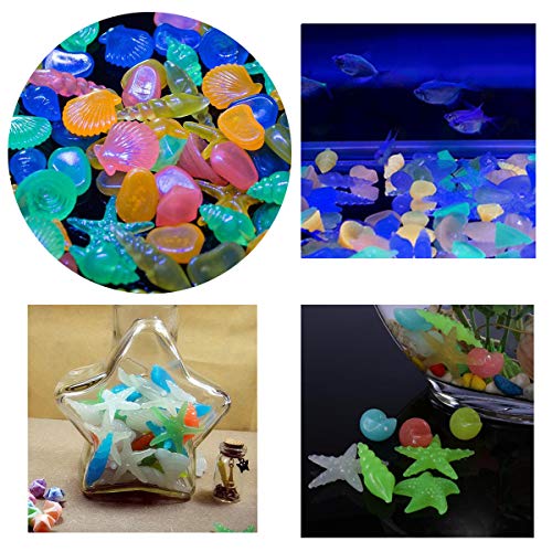 Oubest Glow in The Dark Pebbles/Glow Stones/Glowing Rocks Blue Decor for Garden/Fish Tank/Aquarium/Walkway/Driveway/Plant Pots/Bonsai (100, Starfish) - color: starfish