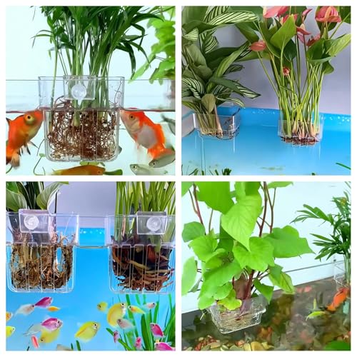 ARREBOL 2 Pack Clear Aquarium Plant Holder Top Hanging Fish Tank Plant Holders Fits up to 0.8in Tank Edges