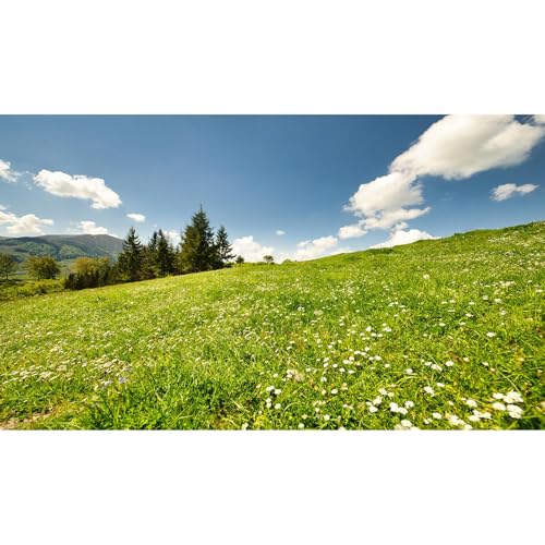 Mountain Pine Trees Aquarium Background Clear Blue Sky Green Meadow Fish Tank Background Fantastic Natural Landscape Terrarium Backgrounds Spring Flowers Green Grass Reptile Tank Backgrounds 48x24in - color: Light Green, size: 48(W)x24(H)inches/ 120(W)*60