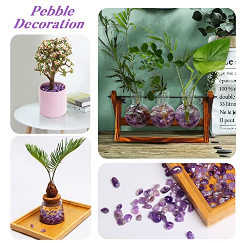 QICQDRAM Polished Gem Stones Rocks Crystals 0.9 Lb/405g Natural Tumbled Stones Amethyst Crystal Chips Bulk for Healing Crystals & Fish Tank Rocks Gravel, Vase Filler, Plants Decor - color: Amethyst