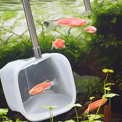 6pcs Fishing Net for Aquarium Telescopic Rod Square Shrimp Net Fish Tank Mesh Extendable Fish Style