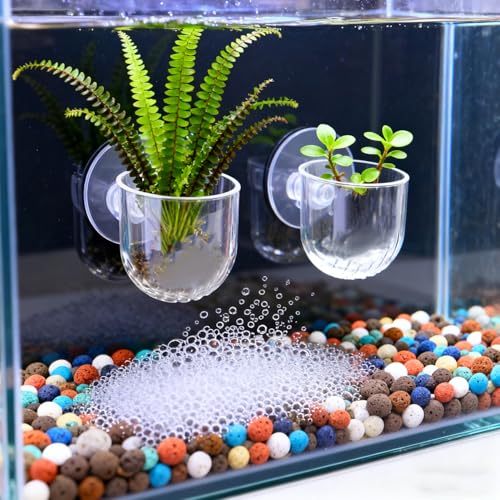 1Pcs Acrylic Transparent Aquatic Plant Cup with Suction Holder Mini Fish Tank Worm Feeder Aquarium Decoration Tool (Large,4.7 * 6.6 * 5cm) - color: Large,4.7*6.6*5cm