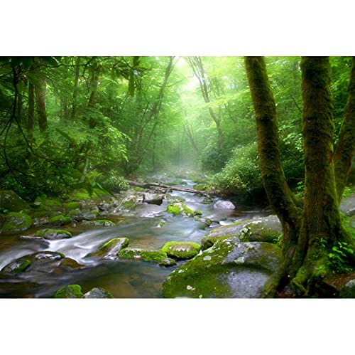 5x4ft Peaceful Forest Photography Backdrop for Outdoor Rustic Travel Theme Banner Decoration Stones Stream Trees Rainforest Jungle Plant Background Polyester Fabric Adults Portrait Photo - size: 5x4ft-P