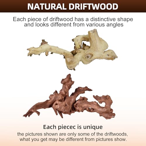 majoywoo Natural Large Coral Driftwood for Aquarium Decor Reptile Decor, Assorted Driftwood Branch 9-14" 2 Pcs, Fish Tank Decoration… - size: Mopani Driftwood 9 to 14 Inch (Pack of 2)