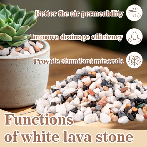 Sukh Mixed Color Pebbles for Succulent and Cactus - 420G 1/5 Inch Succulent Cactus Gravel Pebbles,Natural Decorative Polished River Stones,Small Rocks for Outdoor Gardening,Vases,Landscaping,Fish Tank