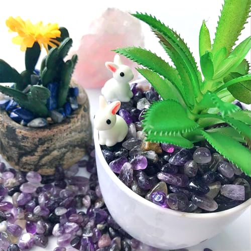 WAYBER 1 Lb/460g Natural Purple Amethyst Quartz Crystal Stones Irregular Decorative Pebble Rock Sand for Aquarium/Fish Turtle Tank/Vase Fillers/Air Plants/Succulent Plants Decor (Fill 1 Cup) - color: Purple, size: 1 Pound