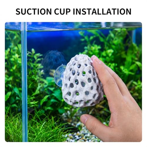 Shrimps Dome Hide Betta Hideout Shrimp Hides for Aquarium Shrimp Cave Realistic Plastic Aquarium Coral Rock Decorations with Suction Cup Aquariums Ornaments Tank Accessories for Fish Hiding & Resting