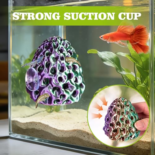 Shrimp Dome Hide, Shrimp Hides for Aquarium, Betta Fish Hideout with Suction Cup, Betta Habitat Tank Ornament Accessories, Aquarium Decor for Small Fish Guppy Hiding Resting (Lid Green Purple) - color: Green Purple Gradient with Lid