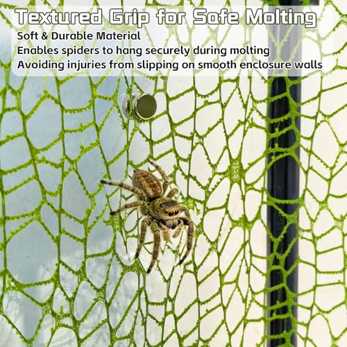 Hamiledyi Jumping Spider Enclosure Accessories 20 x 12'' Climbing Net Magnetic Spider Web Mesh Mantis Enclosure Net Tarantula Terrarium Habitat Decor (White+Green) - color: White+Green