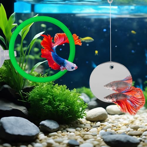 Beta Fish Aquariums Accessories, 1 Fish Mirror with Floating Ball & 2 Exercise Training Ring Toys, Fish Feeding Ring, Betta Fish Toys Set for Tank, Enrichment Toys for Fish - color: green ring