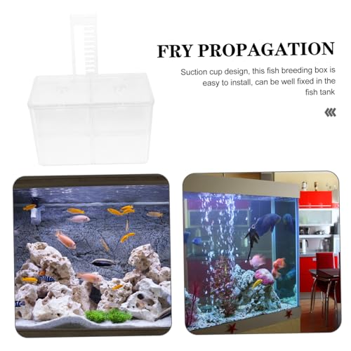 Levemolo Hanging Fish Breeding Box Isolation for Aquariums Suction Cup Design for Easy Installation Nursery for Fry Fish Wear Resistant