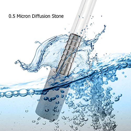 Stainless Steel Aeration Stone, 0.5 Micron Diffusion Stone with 1/4" Hose Barb, Stainless Steel Aeration Oxygenation Stone Carbonating Stone for Home Brewing Beer (Pack of 2) - size: Without thread