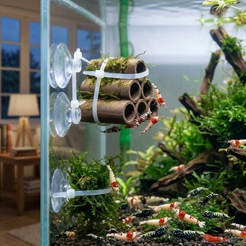 Fish Tank Accessories, 20Pcs 25mm Aquarium Suction Cups with Adjustable Cable Ties Clear Turtle Habitat Supplies Beta Fish Aquariums Accessories for Betta Tank Plants and Moss Fixing