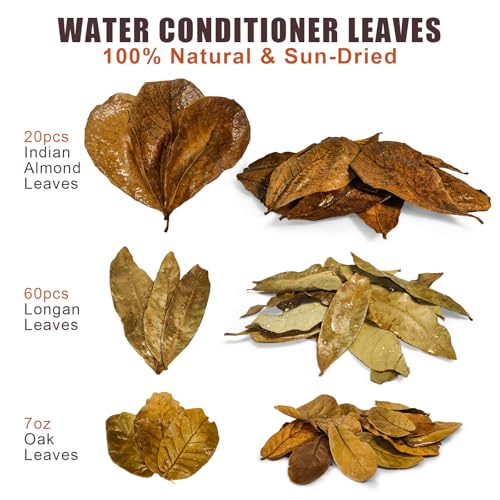 Indian Almond Leaves for Betta Fish,20Pcs Catappa,60Pcs Longan & 0.7oz Oak Leaves,Aquarium Water Conditioner Leaf,pH Balancing Water Conditioner Leaf for Betta Fish,Shrimp,Frogs,Axolotl Tanks