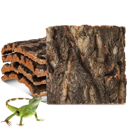 SOIMISS 5 Pcs Reptile Cork Bark Background for Terrarium Natural Tree Bark Hideout and Climbing Wall Vivarium Decor for Gecko Bearded Dragon Turtle and Lizard Tanks