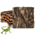 SOIMISS 5 Pcs Reptile Cork Bark Background for Terrarium Natural Tree Bark Hideout and Climbing Wall Vivarium Decor for Gecko Bearded Dragon Turtle and Lizard Tanks
