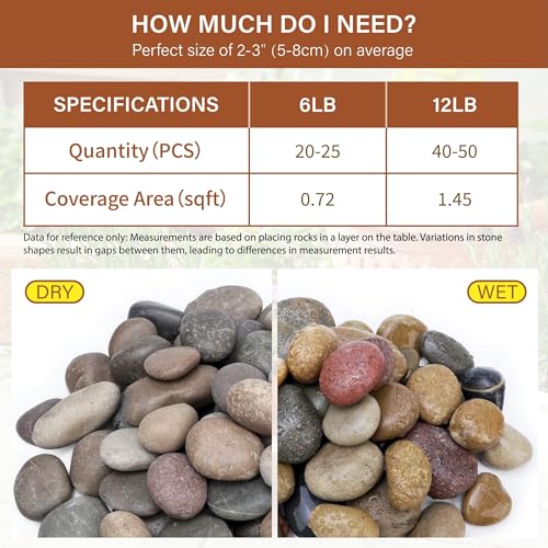 NUPICK 6lb Mexican Beach Pebbles, 2-3" Large River Rocks for Landscaping, Smooth Garden Rocks for Outdoor Paving, Natural Pebbles for Indoor Plants, Decorative Stones for Planters, Fish Tank, Fountain - color: Mixed, size: 2-3", 6lb