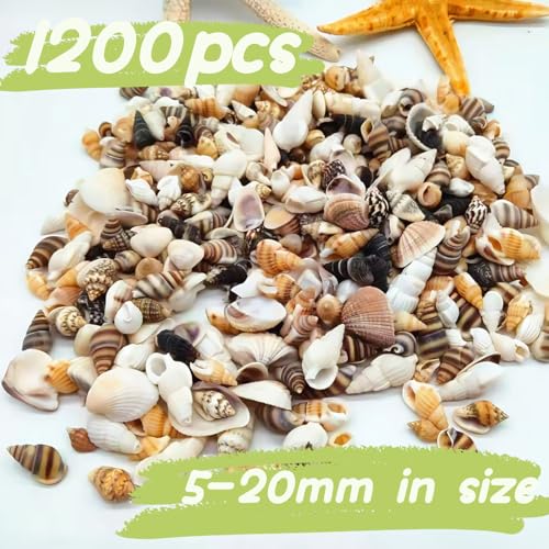 1200 PCS Tiny Sea Shells &10 Small Starfish - Mixed Ocean Beach Spiral Seashells for Fish Tank and Vase Filler, Beach Theme Party, Wedding Decor - DIY Craft Supplies