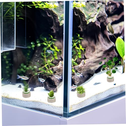 Toddmomy 9pcs Floating Ceramic Rings for Fish Tank Decoration Stabilizes Aquatic Plants User Friendly Planting Cups for Easy Maintenance