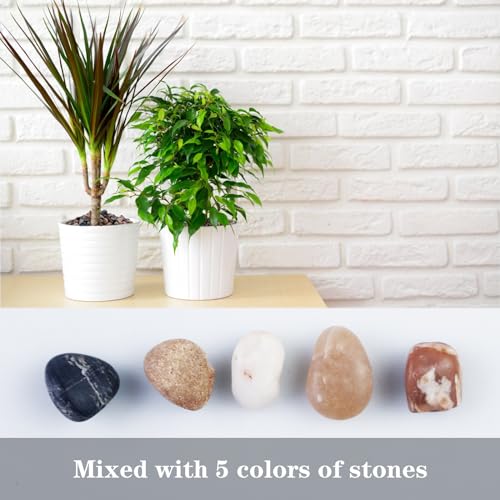 5lb Mixed Color Silica Gravel Pebbles, 1/5 inch Decorative Stones for Succulents, Pebbles for Vases,Plants Rocks, Aquarium Sand, Top Dressing, Outdoor Decorative Rocks - color: Natural Colorful, size: 5LB