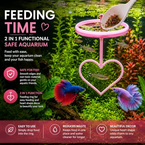Floating Heart Betta Training Ring, Heart Active Betta Training Floating Ring, Floating Feeder, Betta Loops for Aquarium Decor, Pink, 3.8in x 3.7in (Pink, Single) - color: Pink, size: Single