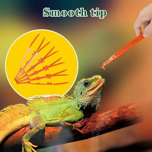 5-Pack Reptile Feeding Tongs Set - Hygienic Anti-Slip Orange Tweezers for Bearded Dragons, Lizards, Snakes, Aquariums & Small Animals(Five Colors to Choose from) - color: Orange