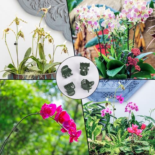 AccEncyc 100 Pcs Plant Clips Orchid Clips Plants Orchid Support Clips Flower Vine Clips for Supporting Stems Vines Stalks Climbing Plant Grow Upright - size: 100Pcs Classic