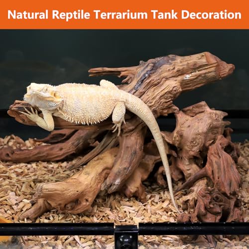 Driftwood for Aquarium Drift Wood for Fishtank: Aquarium Driftwood Freshwater Reptile Wood Reptile Log Snake Climbing Accessories Terrarium Decor for Leopard Gecko Small Snake Fish Tank