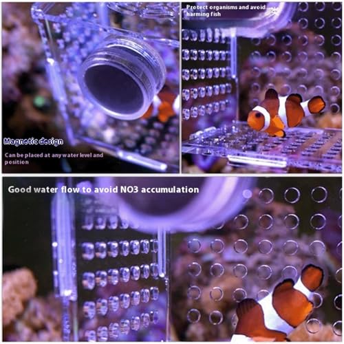 Acrylic Fish Breeding Box, Magnetic Fish Isolation Box Fish Separator for Aquarium Hatchery Incubator Tank for Baby Fishes Shrimp Clownfish Guppy (Small, Reinforced Magnetic Model) - size: Small, Reinforced magnetic model