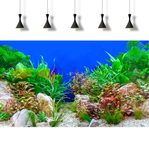 Underwater Green Aquatic Plants Aquarium Background Undersea Grass Rock Stone Sandbed Bottom Fish Tank Background Green Purple Seagrass On Blue Backgrounds Aquarium Reptile Tank Wallpaper 36x20in - size: 36(W)x20(H)inches/ 90(W)*50cm(H)