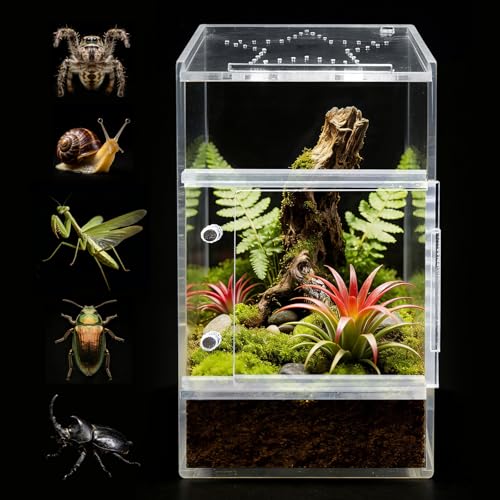 Jumping Spider Enclosure, Small Acrylic Terrarium, Magnetic Front & Top Opening, Bug Habitat for Jumping Spiders, Tarantulas, Praying Mantis, Snails (3.14" x 3.14" x 5.9") - size: Basic Vertical-Mini