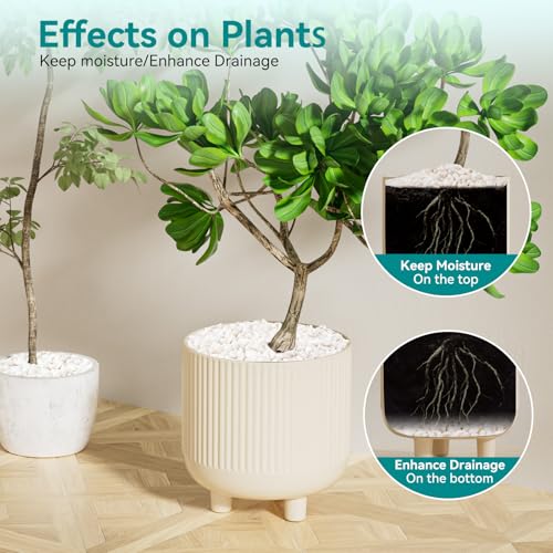 5 lbs Small White Rocks for Planters, 3/8" White Pebbles for Vases, Decorative Small Stones for Plants, Succulents, Bamboo, Terrarium, Landscape, Garden - color: White