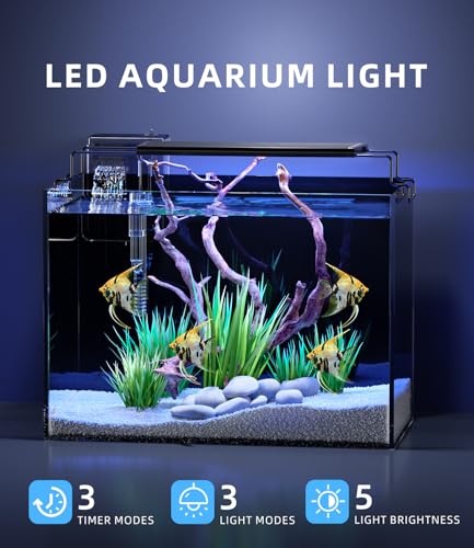 5 Gallon Fish Tank Aquarium Kit with Filter, Heater, LED Light with Timer, Siphon Vacuum Cleaner, Lid, Self-Cleaning Glass Rimless Betta Tank - size: 5 gallon with heater