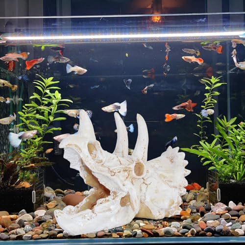 Saim Resin Dinosaur Triceratops Skull Model Aquarium Decoration | Reptiles Hideout, Fish Tank Ornament, Home Office Display